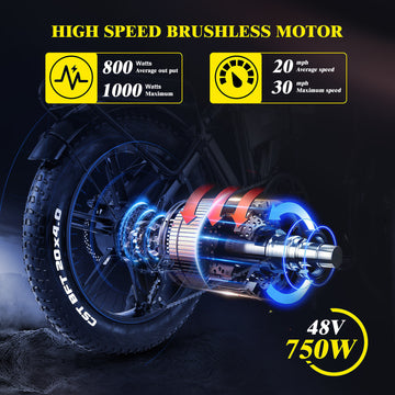 750W (peak 1000W) Brushless Motor